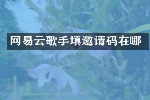 网易云歌手填邀请码在哪