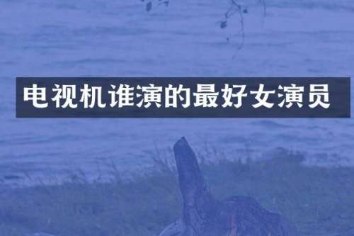 电视机谁演的最好女演员
