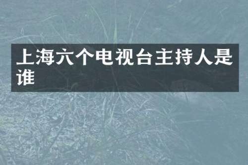 上海六个电视台主持人是谁