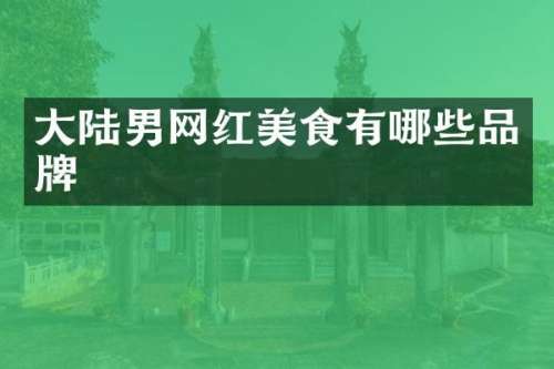 大陆男网红美食有哪些品牌