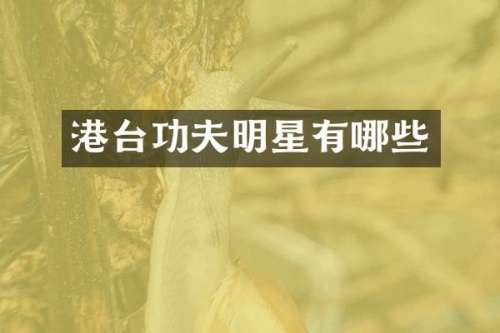 港台功夫明星有哪些