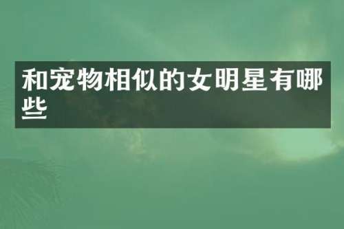 和宠物相似的女明星有哪些
