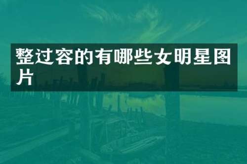 整过容的有哪些女明星图片
