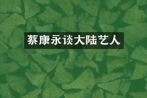 蔡康永谈大陆艺人