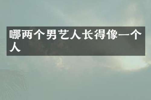 哪两个男艺人长得像一个人