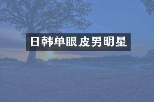 日韩单眼皮男明星