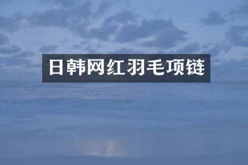 日韩网红羽毛项链