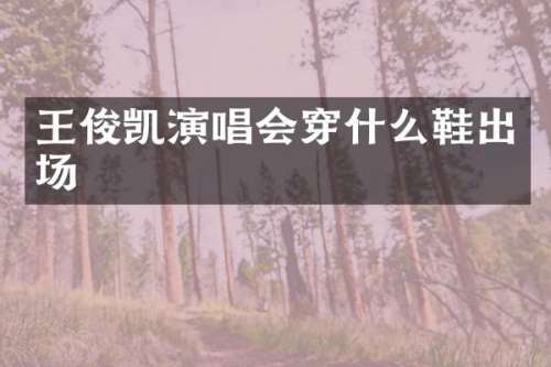 王俊凯演唱会穿什么鞋出场