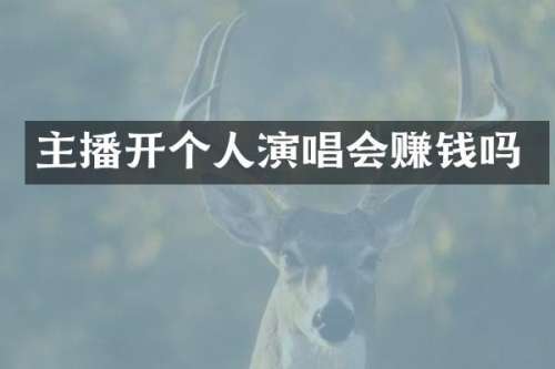 主播开个人演唱会赚钱吗