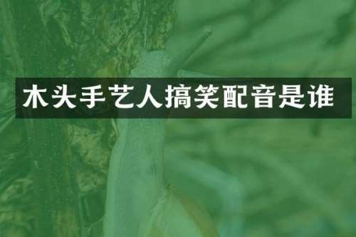 木头手艺人搞笑配音是谁