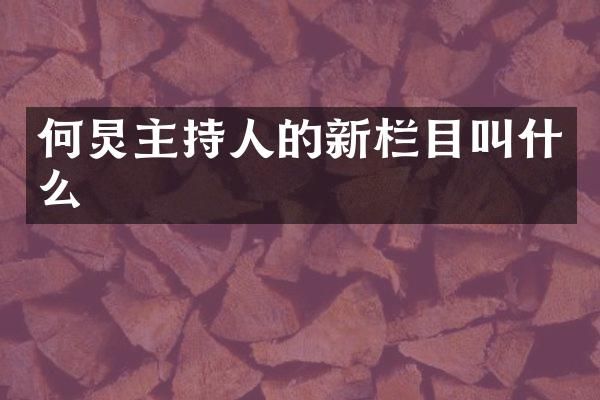 何炅主持人的新栏目叫什么
