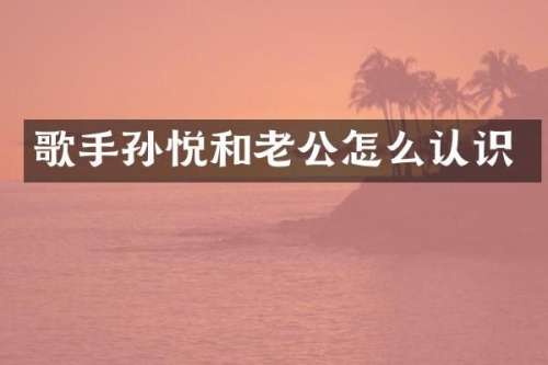 歌手孙悦和老公怎么认识