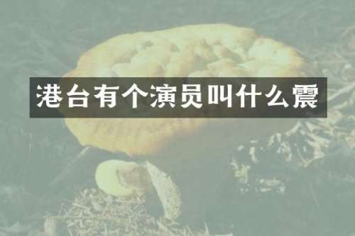 港台有个演员叫什么震