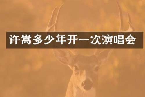 许嵩多少年开一次演唱会