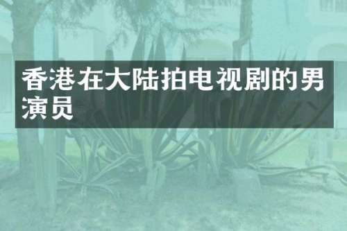 香港在大陆拍电视剧的男演员