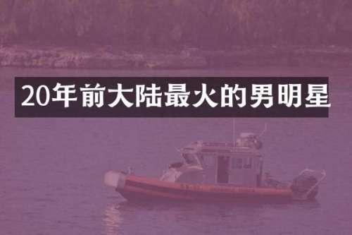 20年前大陆最火的男明星