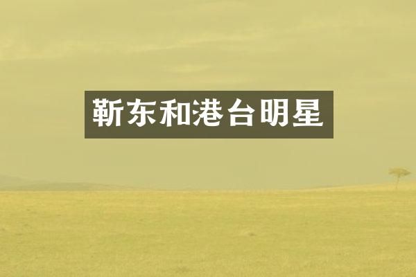 和港台明星