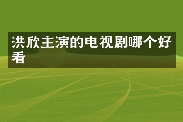 洪欣主演的电视剧哪个好看
