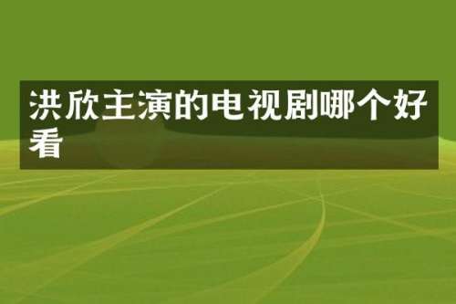 洪欣主演的电视剧哪个好看