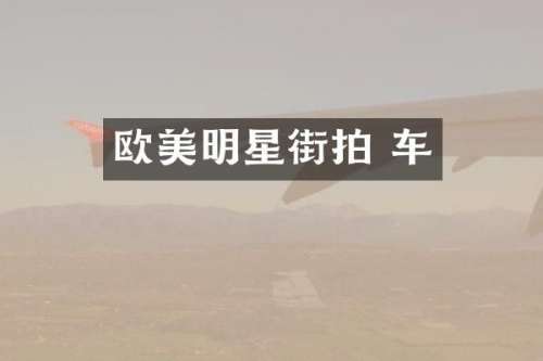 欧美明星街拍 车