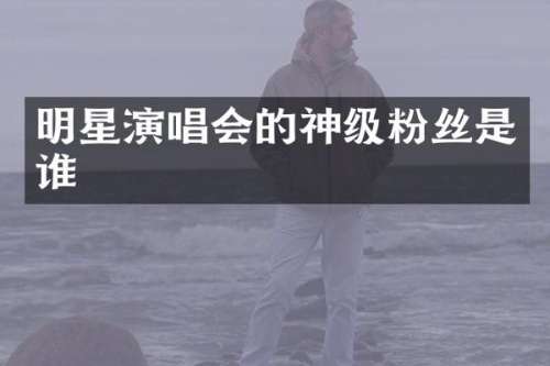 明星演唱会的神级粉丝是谁