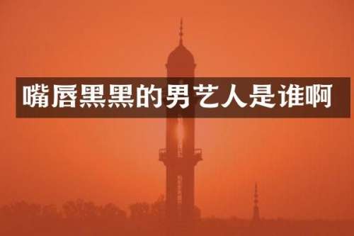嘴唇黑黑的男艺人是谁啊