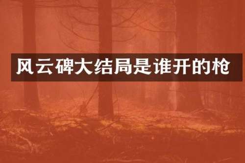 风云碑大结局是谁开的