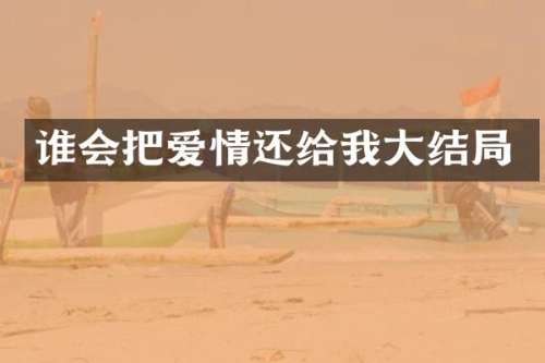 谁会把爱情还给我大结局