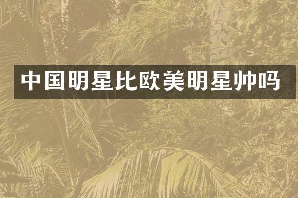 中国明星比欧美明星帅吗