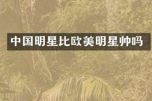 中国明星比欧美明星帅吗