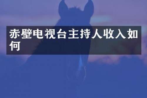 赤壁电视台主持人收入如何