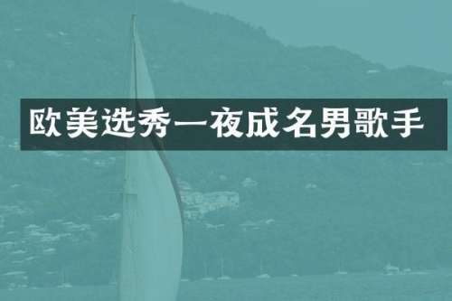 欧美选秀一夜成名男歌手