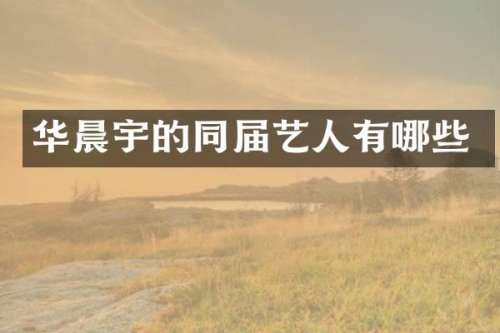 华晨宇的同届艺人有哪些