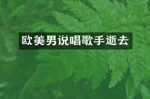欧美男说唱歌手逝去