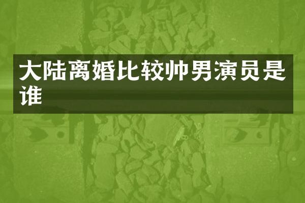 大陆离婚比较帅男演员是谁