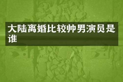 大陆离婚比较帅男演员是谁