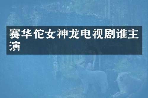 赛华佗女神龙电视剧谁主演