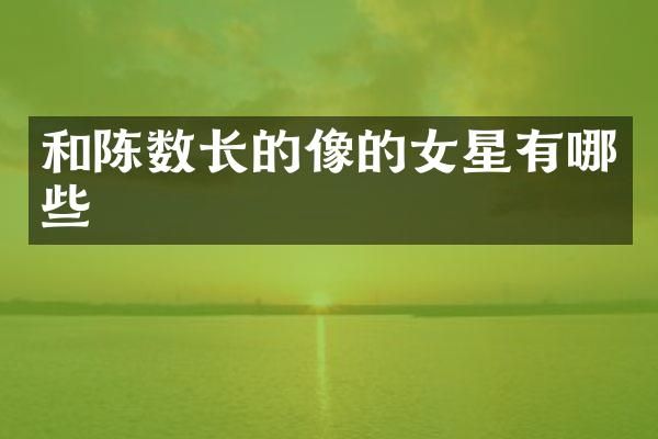 和陈数长的像的女星有哪些