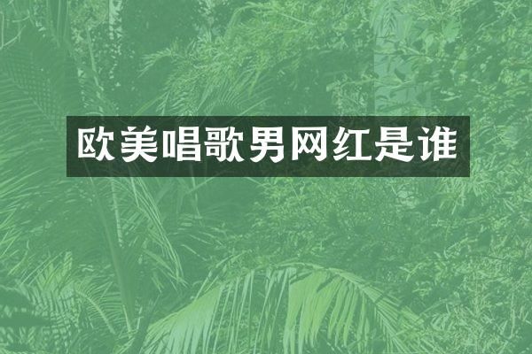 欧美唱歌男网红是谁