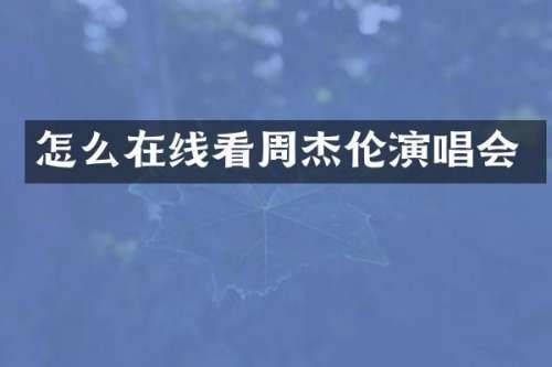 怎么周杰伦演唱会