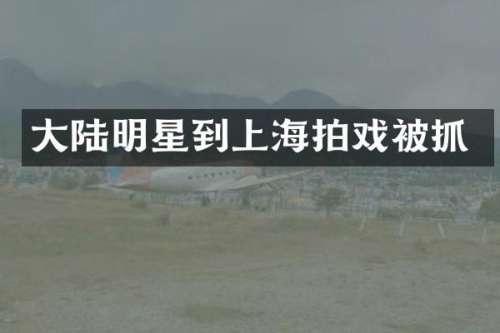 大陆明星到上海拍戏被抓