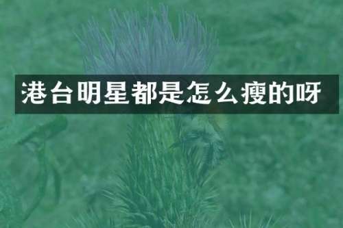 港台明星都是怎么瘦的呀