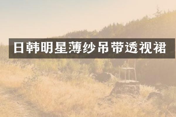 日韩明星薄纱吊带透视裙
