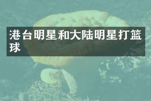 港台明星和大陆明星打篮球