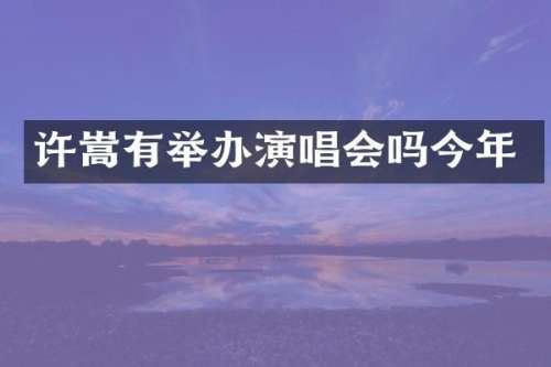 许嵩有举办演唱会吗今年