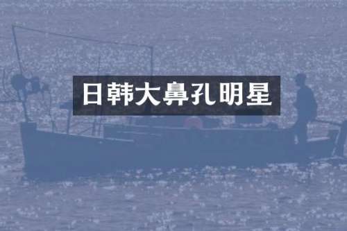 日韩大鼻孔明星