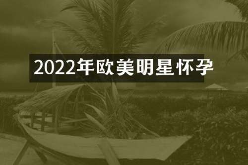 2022年欧美明星怀孕