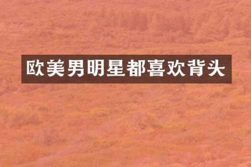 欧美男明星都喜欢背头