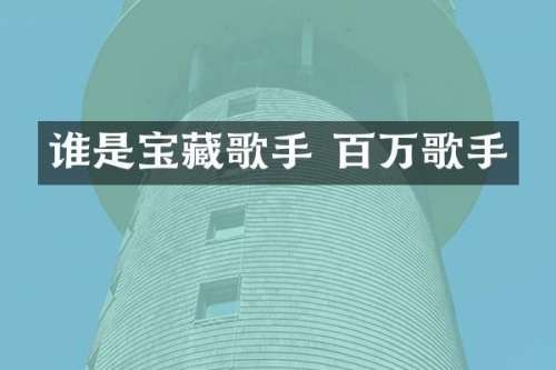 谁是宝藏歌手 百万歌手