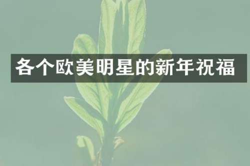 各个欧美明星的新年祝福